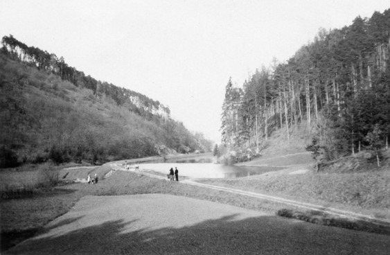 rybník.v.Mezihoří1949.jpg